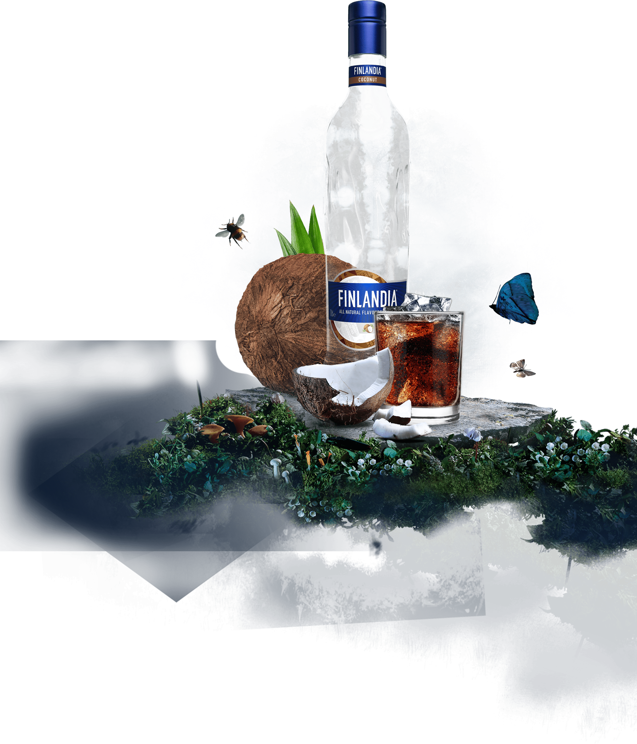 finlandia coconut bottle